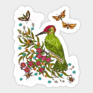 Floral Woodpecker Sticker